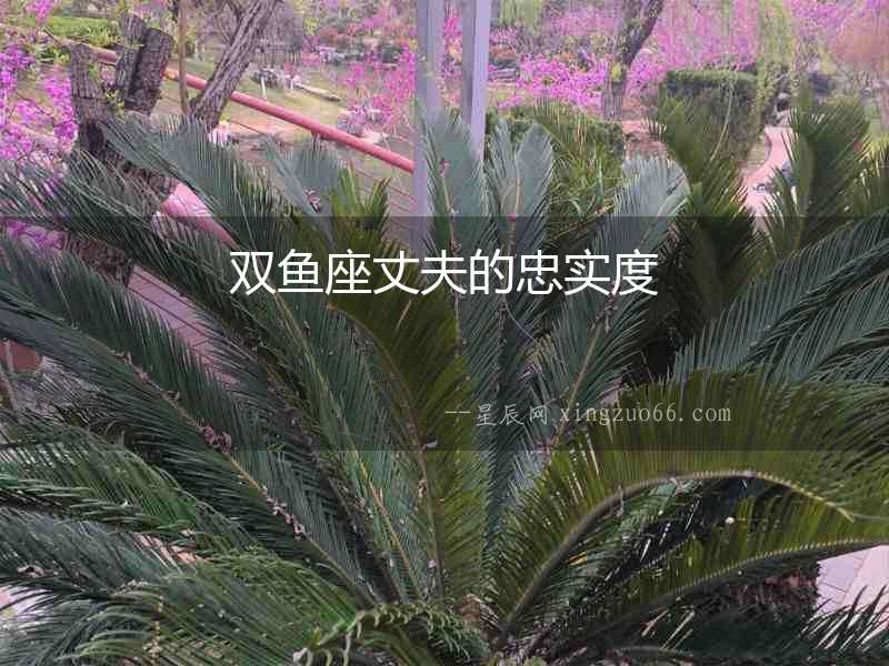 雙魚座丈夫的忠實度