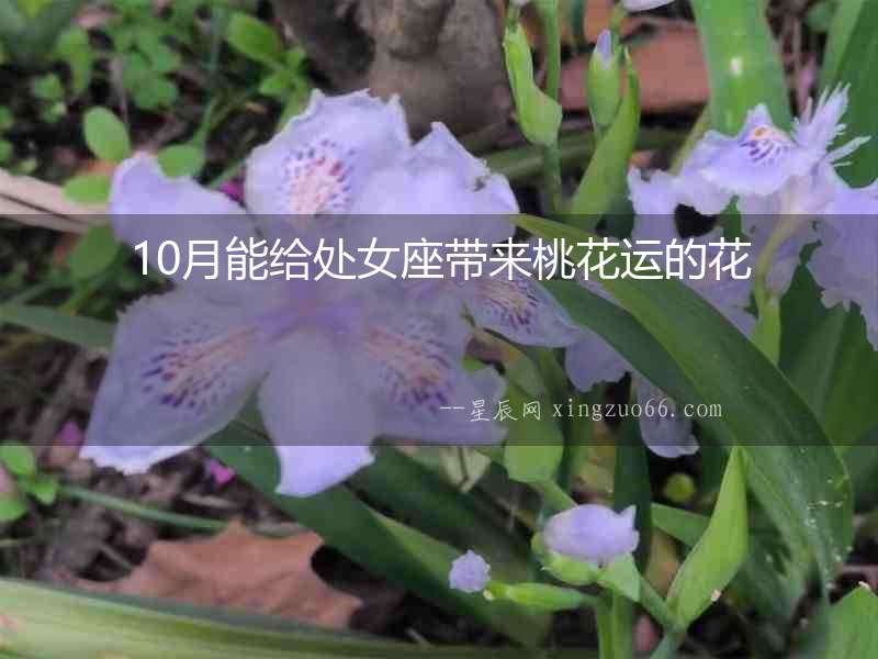 10月能給處女座帶來(lái)桃花運(yùn)的花