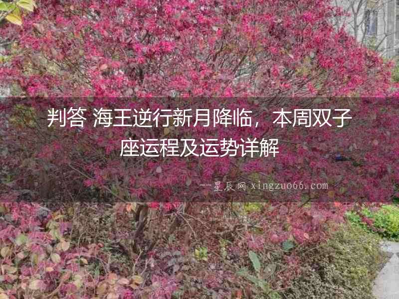 判答 海王逆行新月降臨，本周雙子座運(yùn)程及運(yùn)勢(shì)詳解