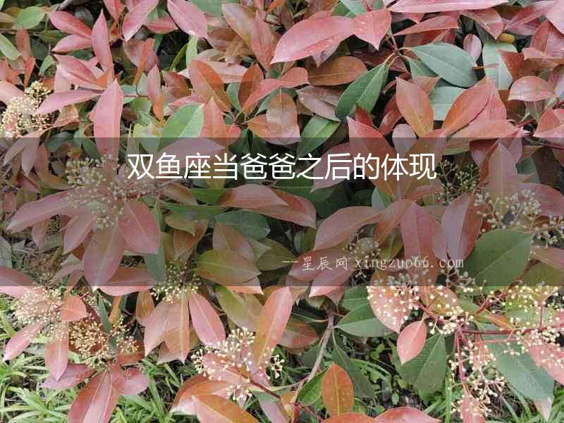 雙魚座當爸爸之后的體現