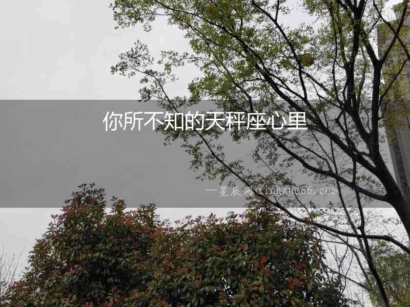 你所不知的天秤座心里