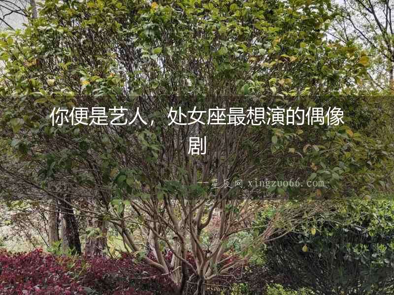 你便是藝人，處女座最想演的偶像劇