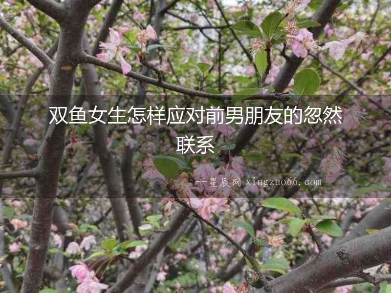 雙魚女生怎樣應(yīng)對前男朋友的忽然聯(lián)系