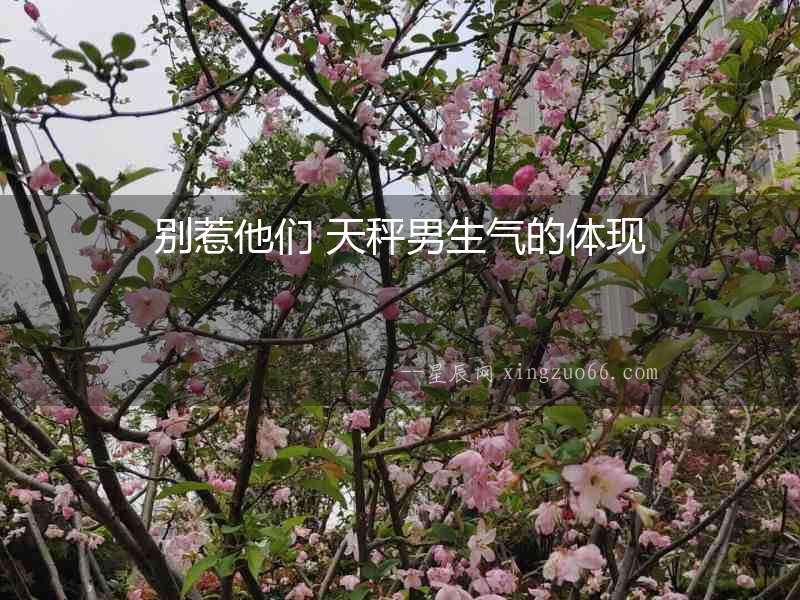 別惹他們 天秤男生氣的體現