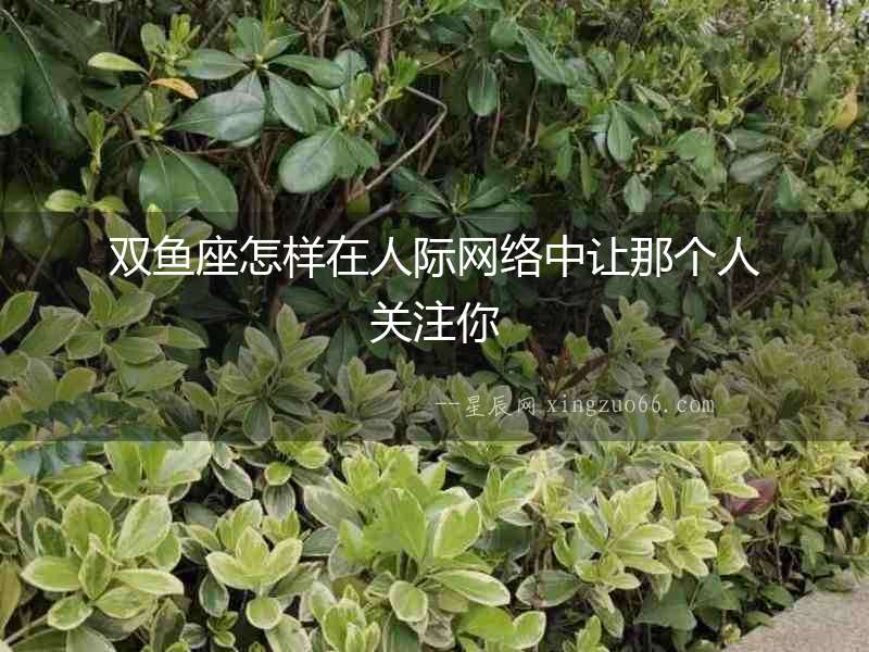雙魚座怎樣在人際網絡中讓那個人關注你