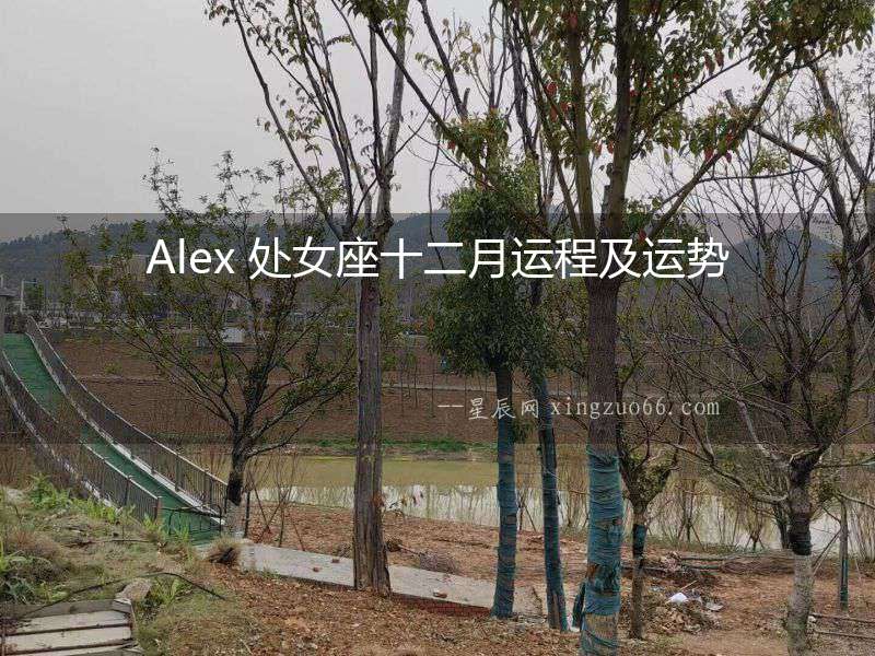Alex 處女座十二月運程及運勢