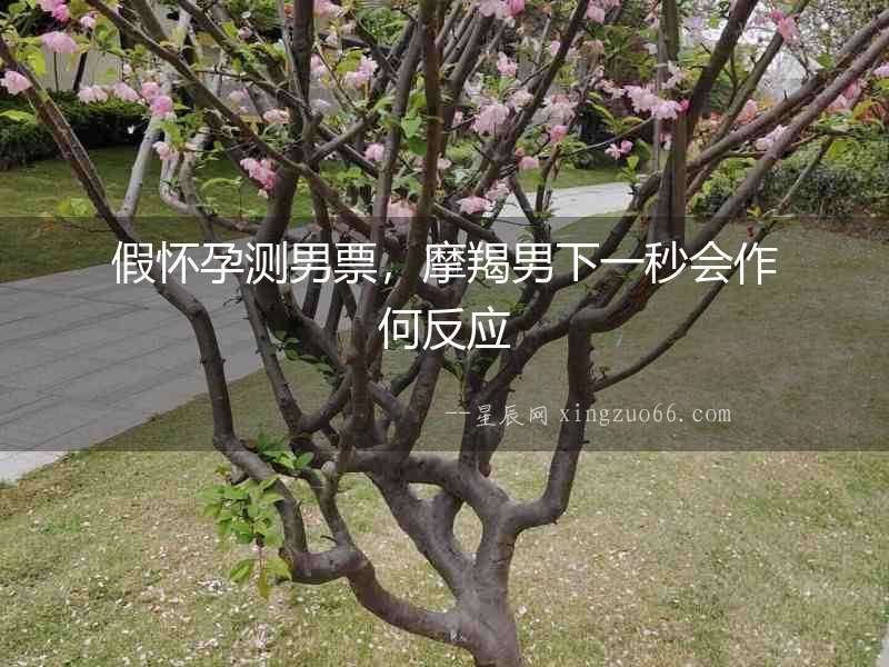 假懷孕測男票，摩羯男下一秒會作何反應(yīng)