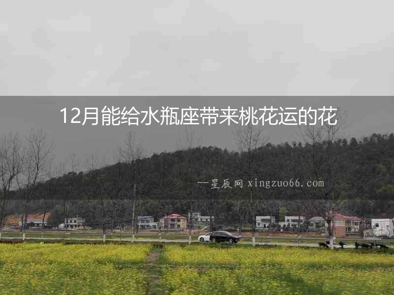 12月能給水瓶座帶來桃花運的花