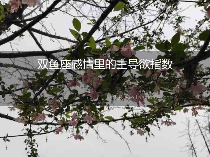 雙魚(yú)座感情里的主導(dǎo)欲指數(shù)