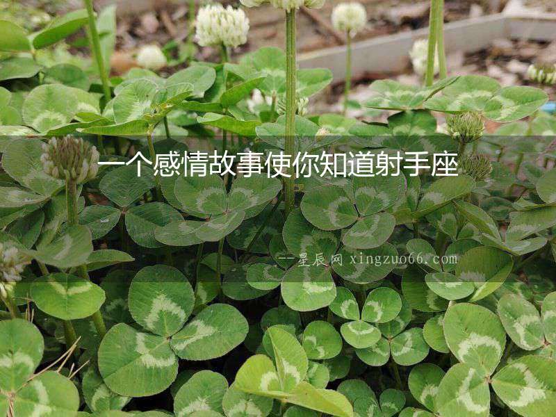 一個(gè)感情故事使你知道射手座