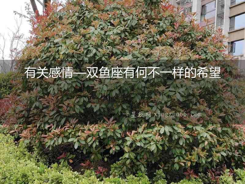 有關感情—雙魚座有何不一樣的希望