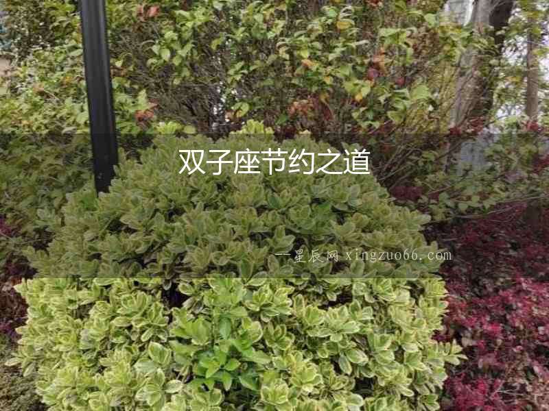 雙子座節(jié)約之道