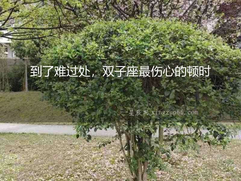 到了難過(guò)處，雙子座最傷心的頓時(shí)