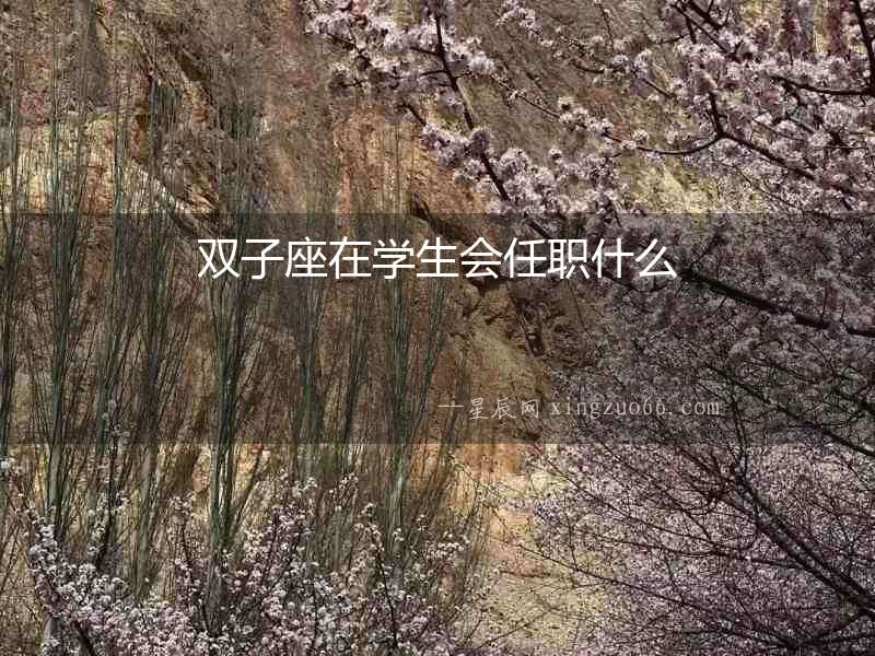 雙子座在學(xué)生會任職什么