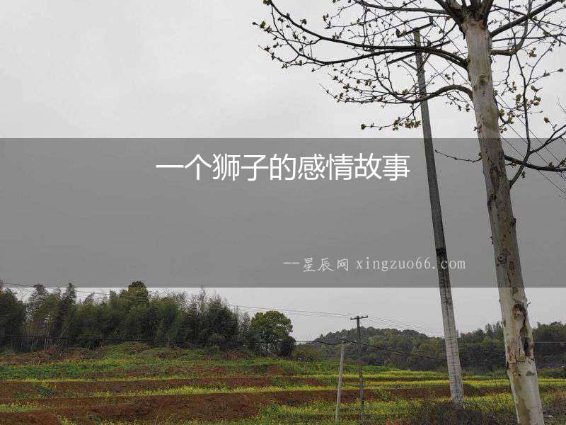 一個(gè)獅子的感情故事