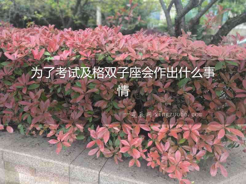 為了考試及格雙子座會作出什么事情