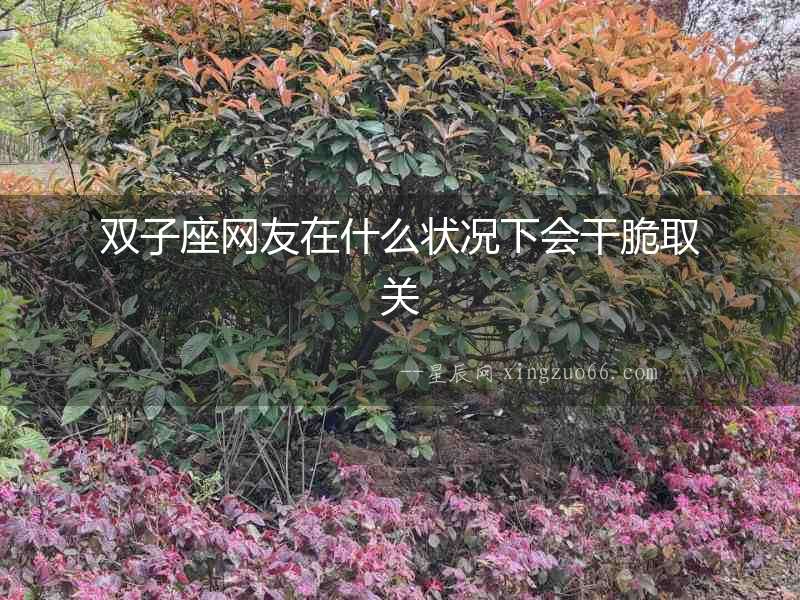 雙子座網友在什么狀況下會干脆取關