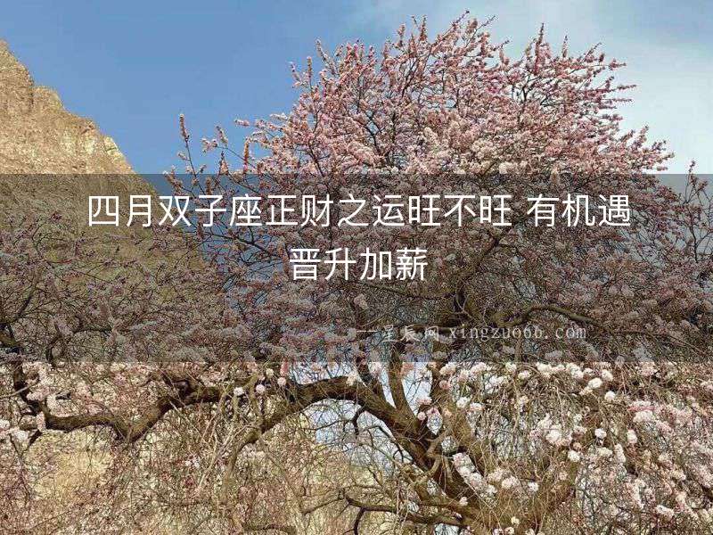 四月雙子座正財(cái)之運(yùn)旺不旺 有機(jī)遇晉升加薪