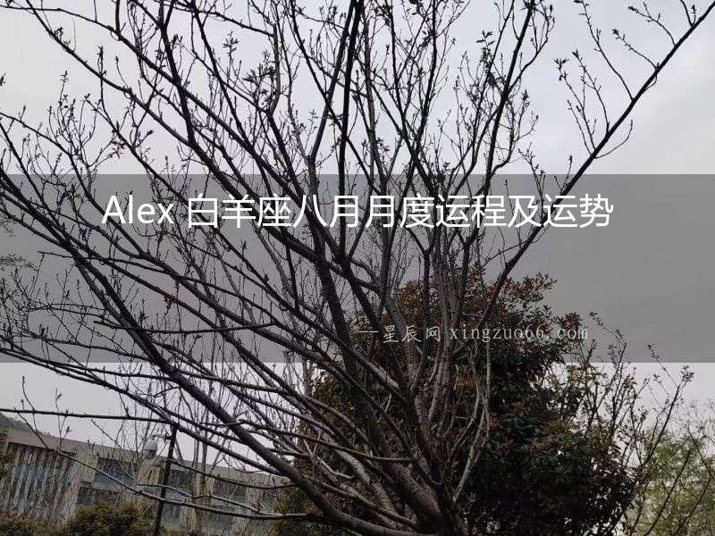 Alex 白羊座八月月度運程及運勢