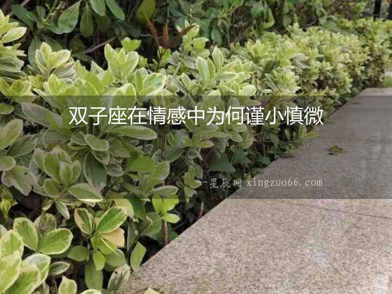 雙子座在情感中為何謹小慎微