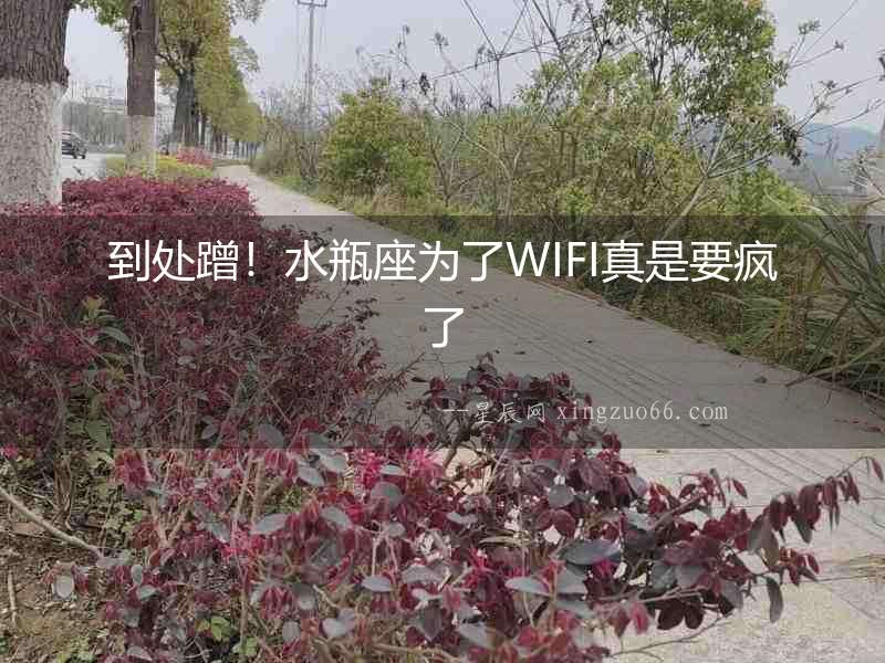 到處蹭！水瓶座為了WIFI真是要瘋了