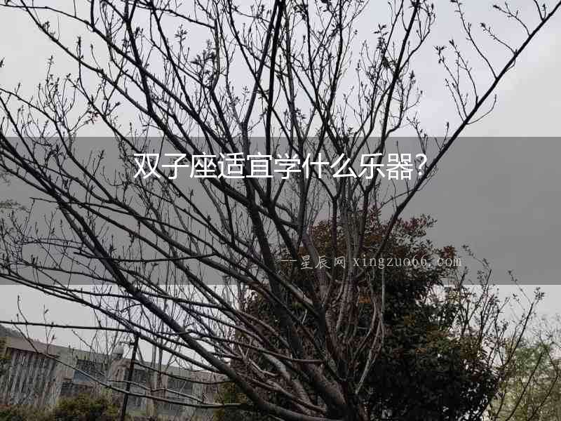 雙子座適宜學(xué)什么樂器？