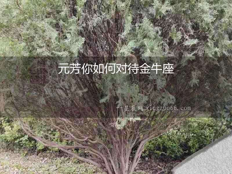 元芳你如何對(duì)待金牛座