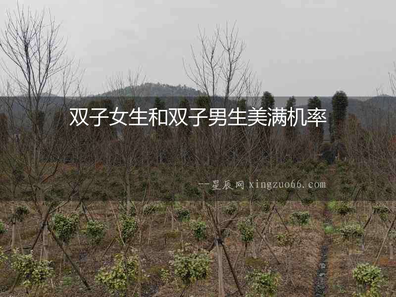 雙子女生和雙子男生美滿機率