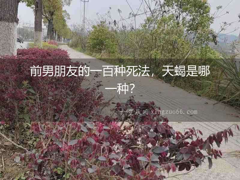 前男朋友的一百種死法，天蝎是哪一種？