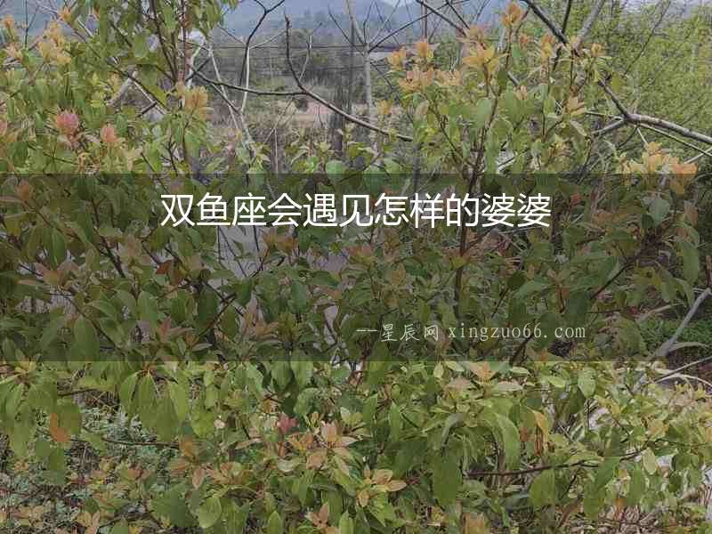 雙魚(yú)座會(huì)遇見(jiàn)怎樣的婆婆