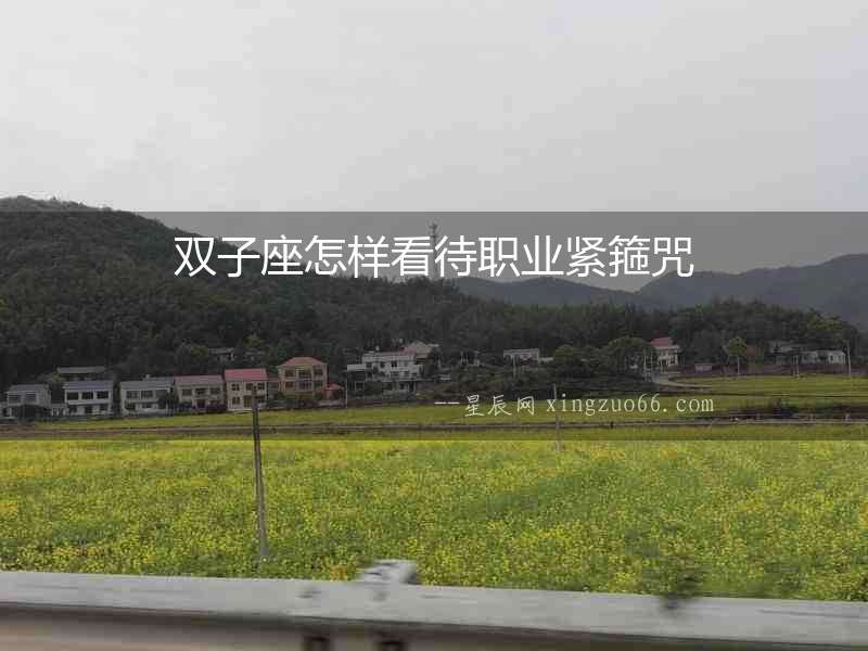雙子座怎樣看待職業(yè)緊箍咒