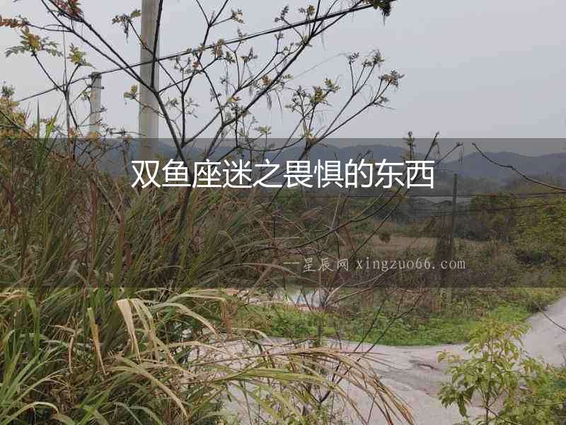雙魚(yú)座迷之畏懼的東西