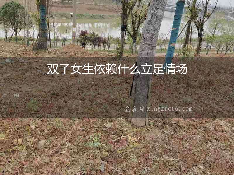 雙子女生依賴什么立足情場(chǎng)