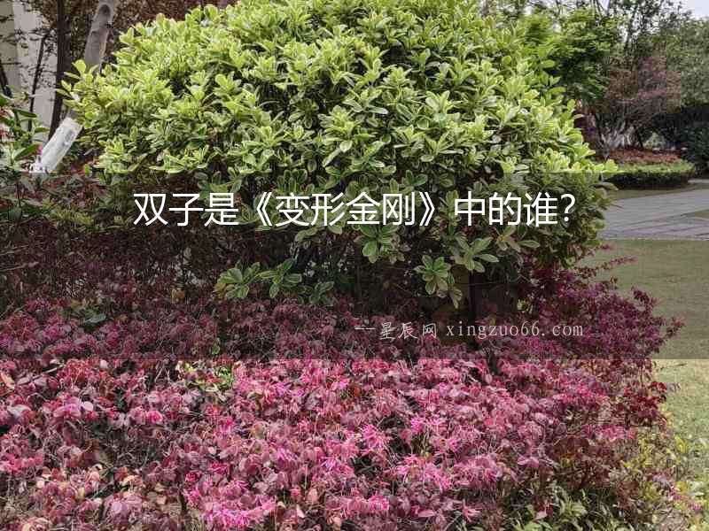 雙子是《變形金剛》中的誰？