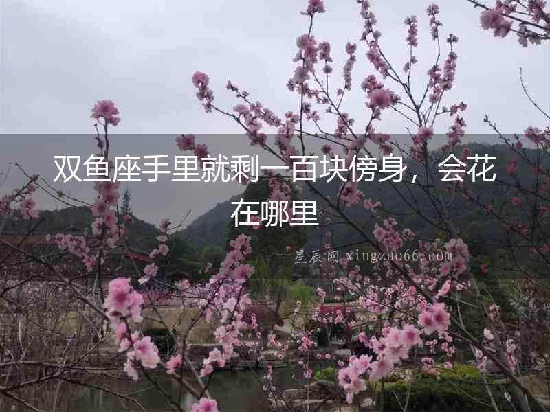 雙魚座手里就剩一百塊傍身，會花在哪里