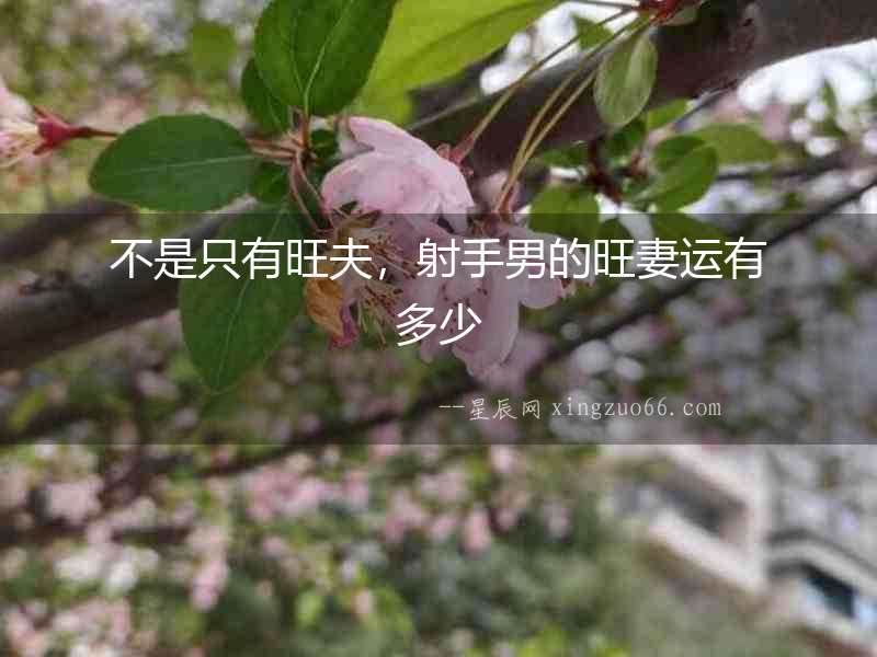不是只有旺夫，射手男的旺妻運有多少