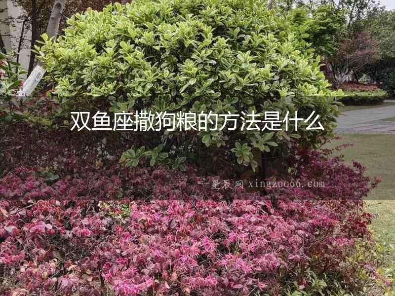 雙魚(yú)座撒狗糧的方法是什么