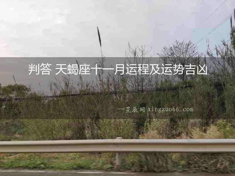 判答 天蝎座十一月運程及運勢吉兇