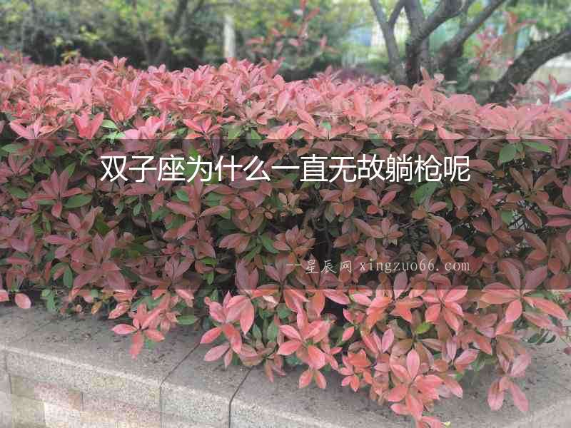 雙子座為什么一直無故躺槍呢