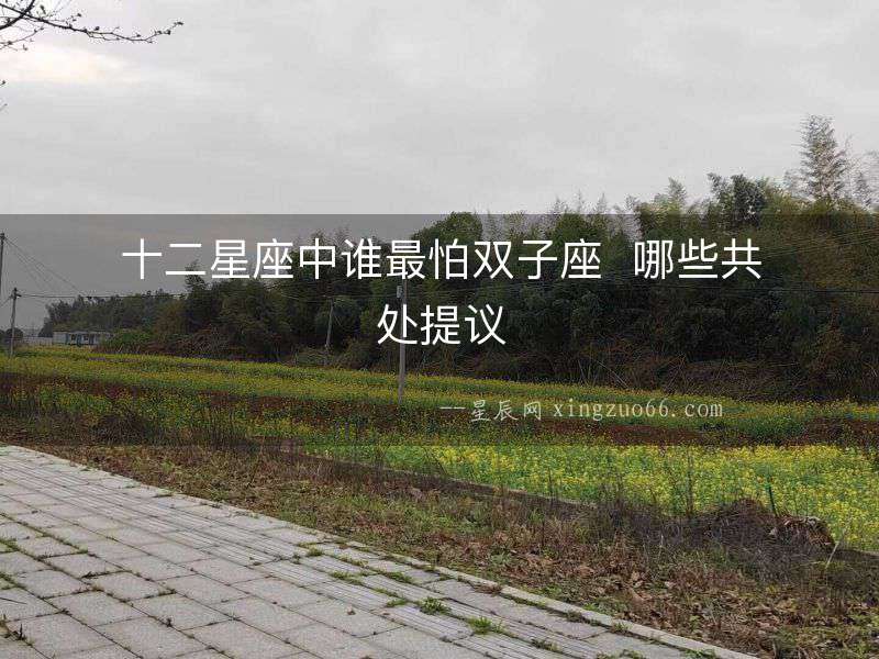 十二星座中誰最怕雙子座  哪些共處提議