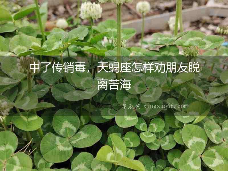 中了傳銷毒，天蝎座怎樣勸朋友脫離苦海