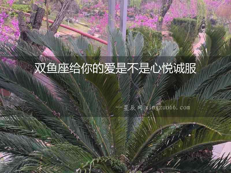 雙魚座給你的愛是不是心悅誠服