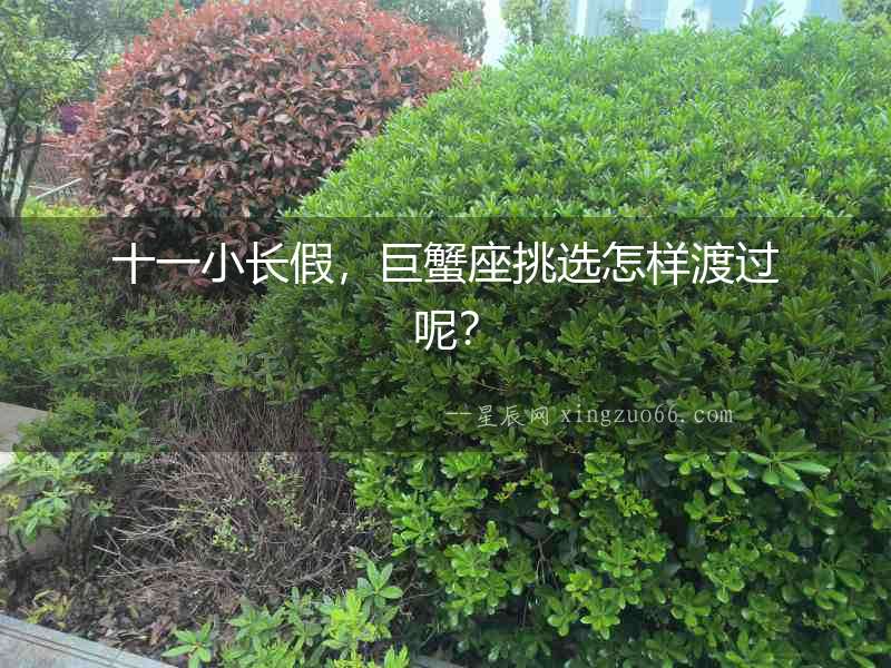 十一小長假，巨蟹座挑選怎樣渡過呢？