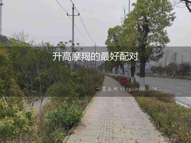 升高摩羯的最好配對