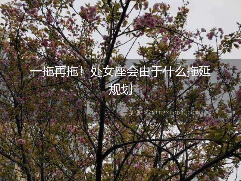 一拖再拖！處女座會由于什么拖延規劃