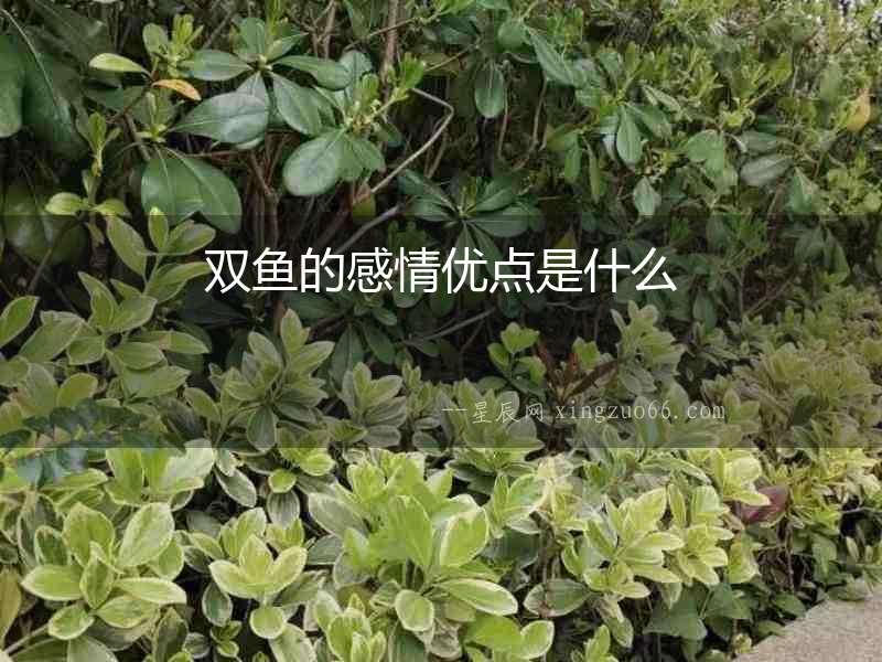 雙魚的感情優(yōu)點是什么