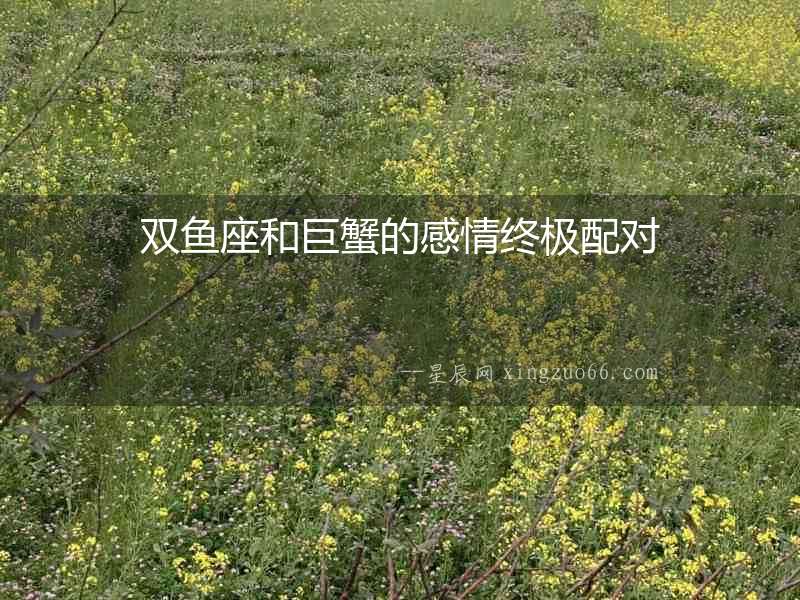 雙魚(yú)座和巨蟹的感情終極配對(duì)