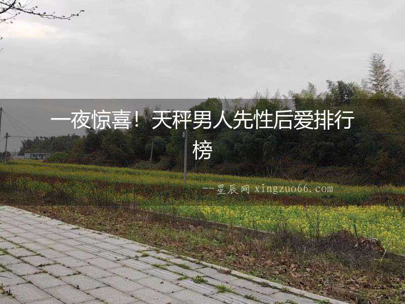 一夜驚喜！天秤男人先性后愛排行榜