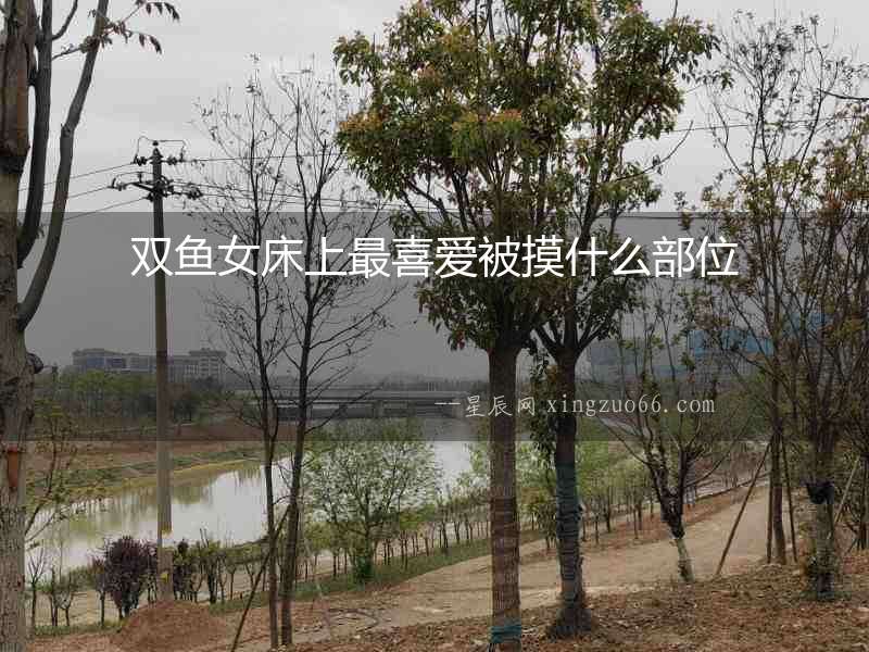 雙魚女床上最喜愛被摸什么部位