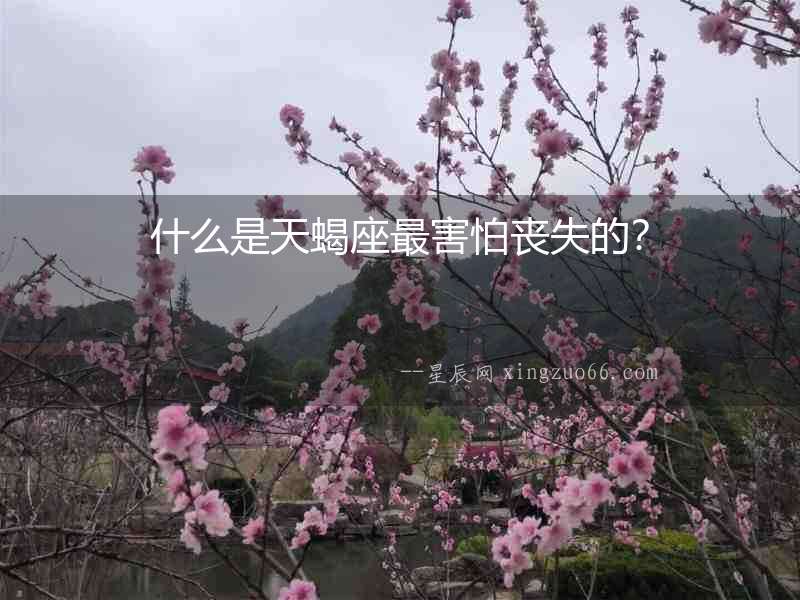 什么是天蝎座最害怕喪失的？